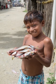 Kuna-Junge mit Fischen