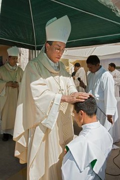 Kardinal Rodriguez Maradiaga beim Gottesdienst mit Priesterweihe
